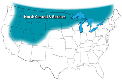 What to Plant Now: April in the North Central and Rockies Gardening Region Image